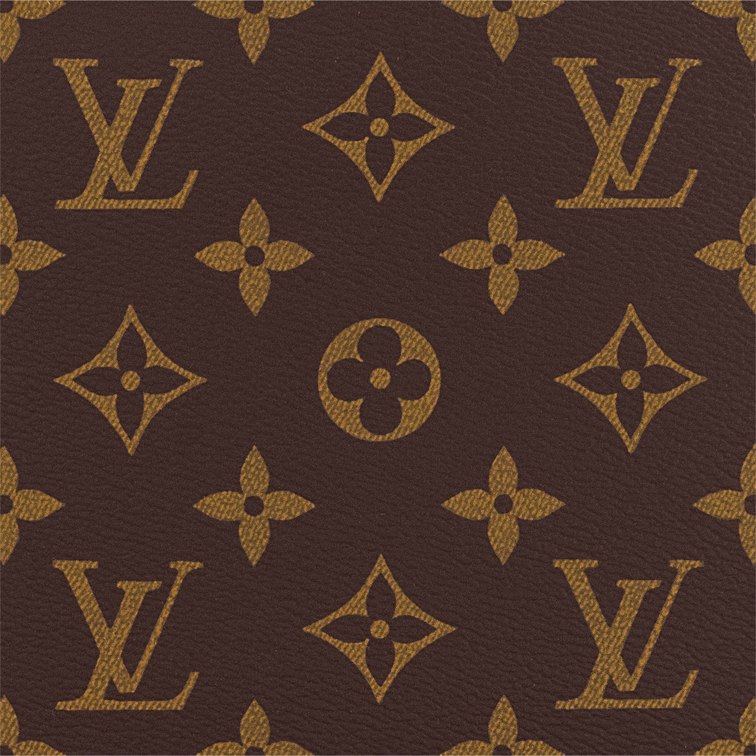 Louis Vuitton M45662 Pet Bag Dog Carrier 40 Monogram - Image 7